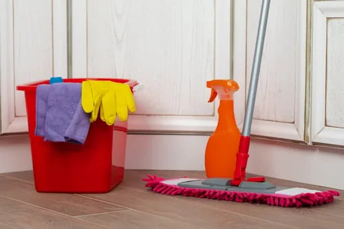 What to Expect at Your First Cleaning Visit